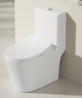 EACO One Piece Toilet Bowl T988